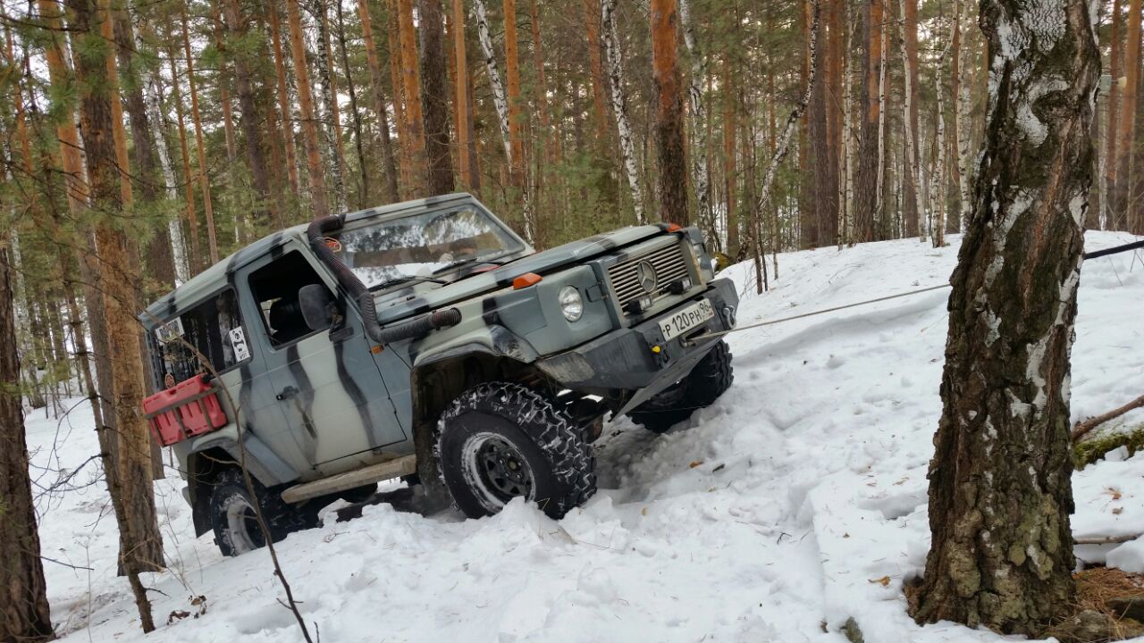 Зимний выезд в лес