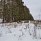 Зимний выезд в лес