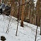 Зимний выезд в лес