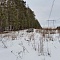 Зимний выезд в лес
