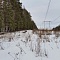 Зимний выезд в лес