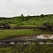 Автокросс