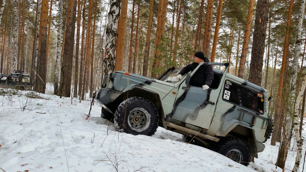Зимний выезд в лес
