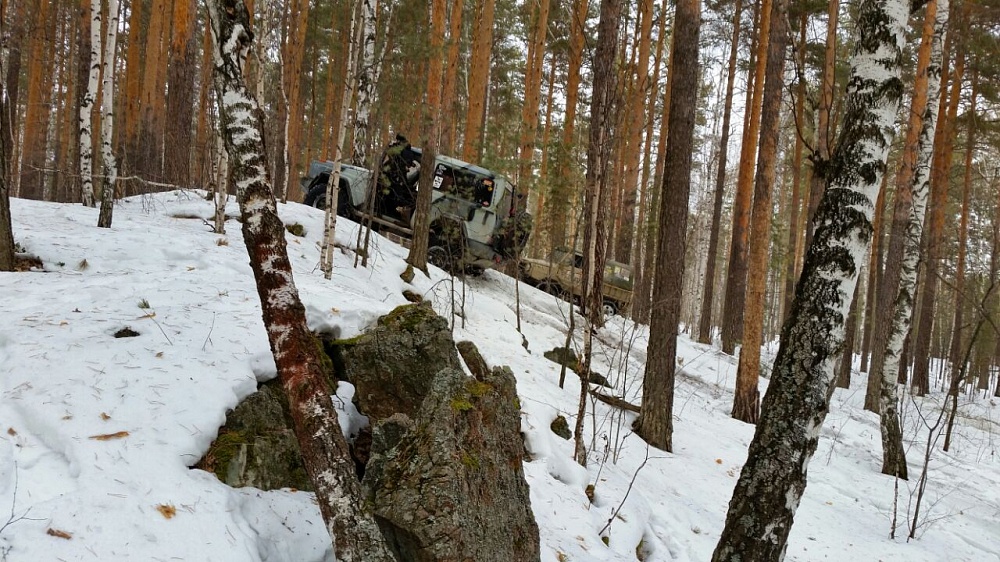 Зимний выезд в лес
