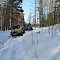 Зимний выезд в лес