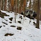Зимний выезд в лес