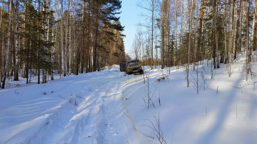 Зимний выезд в лес