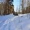 Зимний выезд в лес
