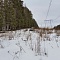 Зимний выезд в лес