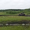 Автокросс