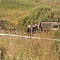 Трофи соревнование "Бархатный сезон"