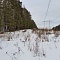 Зимний выезд в лес