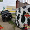 Jeep Wrangler Rubicon JK MT 35