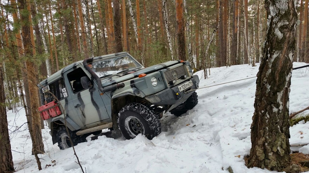 Зимний выезд в лес