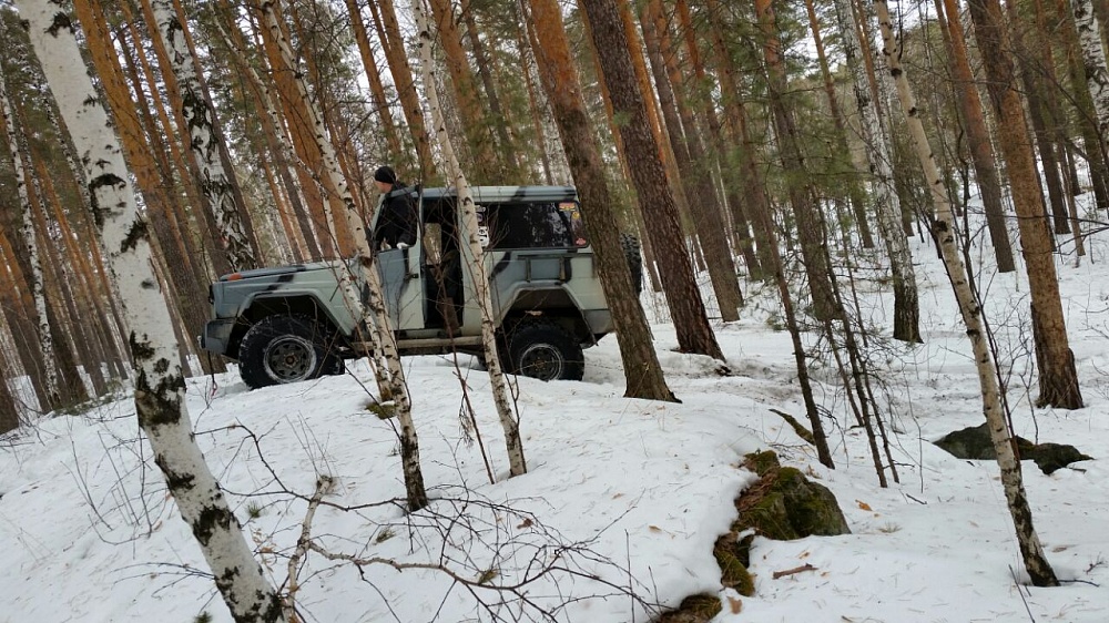 Зимний выезд в лес