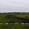 Автокросс