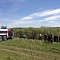 Трофи соревнование - "Весенние ухабы"