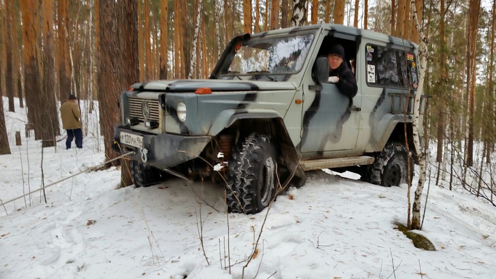 Зимний выезд в лес