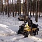 Зимний выезд в лес