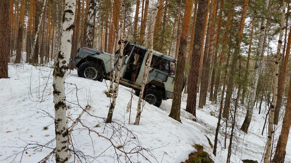 Зимний выезд в лес