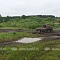 Автокросс