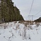 Зимний выезд в лес