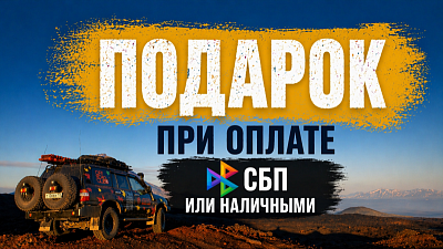 Подарок при оплате через СБП или наличнымми