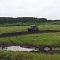 Автокросс